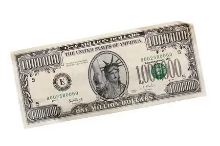 百万美元图片