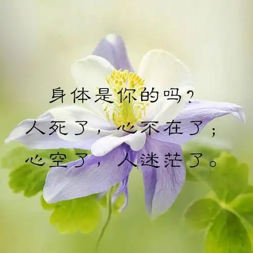 身体是你的吗?人死了,心不在了;心空了,人迷茫了.