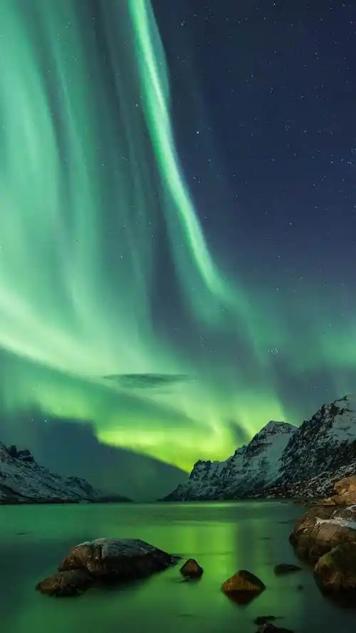 mate20华为手机高清壁纸