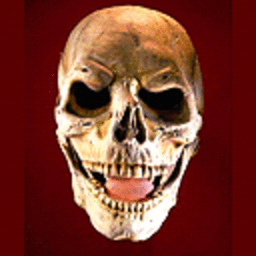 骷髅大笑可怕害怕gif动图_动态图_表情包下载_soogif