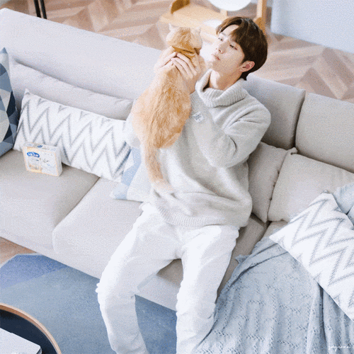 高冷只是保护色,王一博一遇到猫咪狗狗就不行了