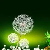 充满朝气希望的头像_微信头像图片大全