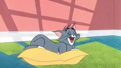 杰瑞和小灰鼠开始作妖,倒霉的汤姆这下会经历什么?