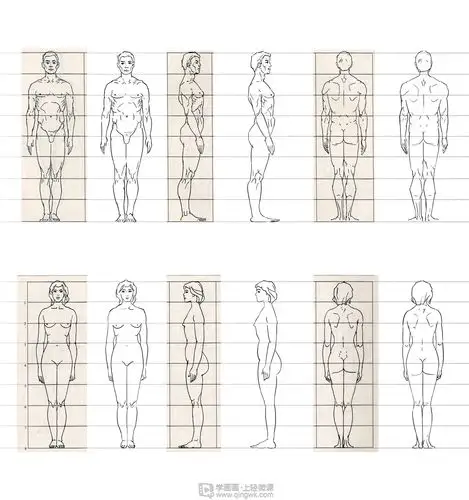 古风插画之人体比例