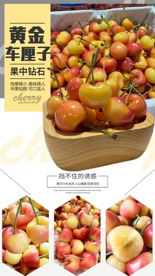 智利黄金车厘子雷尼尔黄樱桃黄色大樱桃黄蜜新鲜水果金车厘子顺丰1000