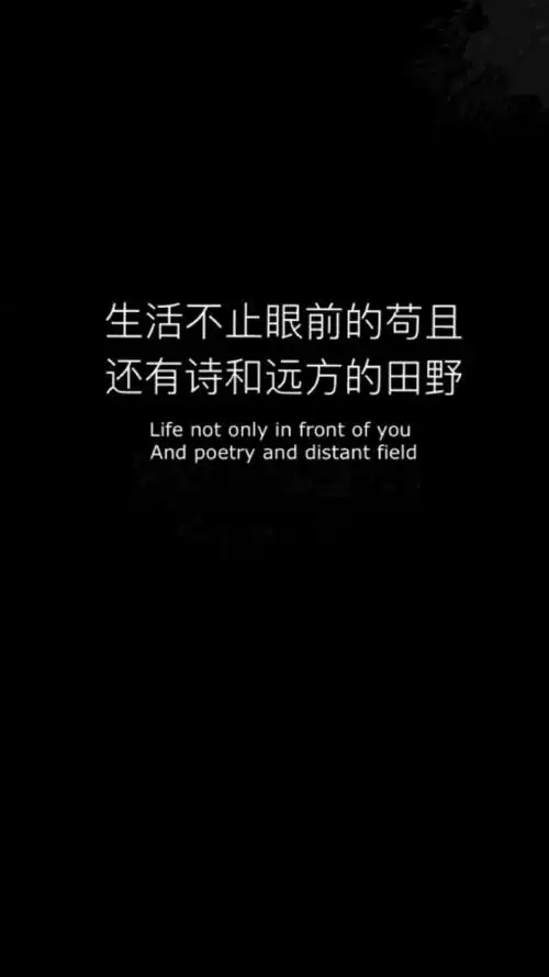 【原创 喜欢请点赞】黑色文字简单英文主屏