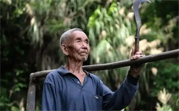 这一切让李大鹏的阴谋暴露在光天化日之下,他的计画宣告失败.