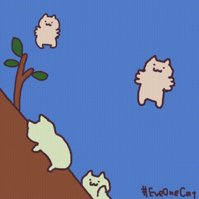 小猫扇脸表情包