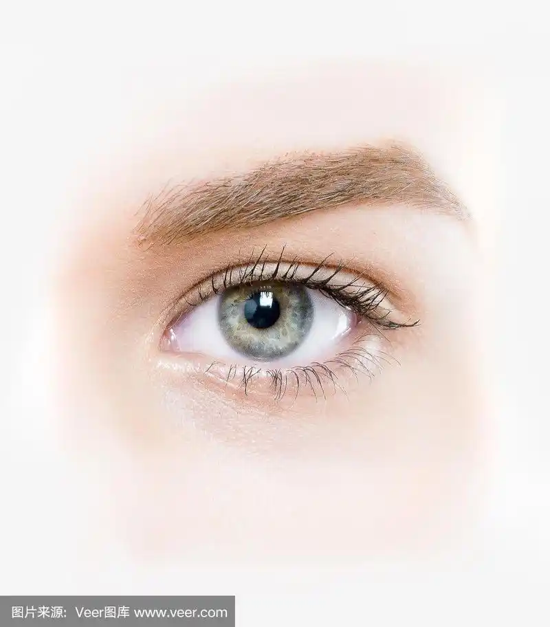 美丽的眼睛特写