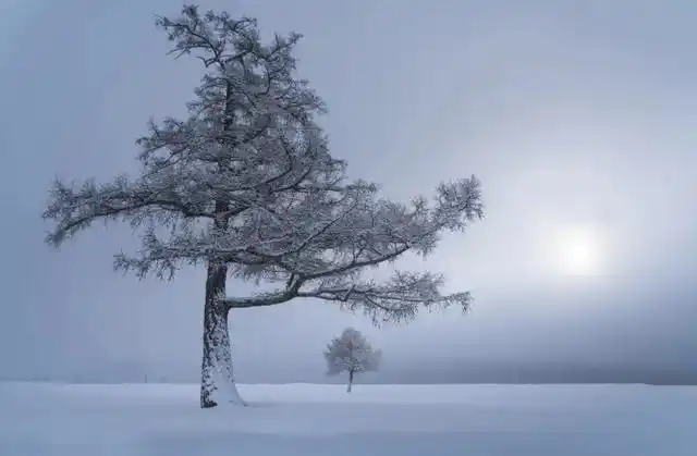 有含义的图片大全(有内涵有深度的图片)-捌号楼