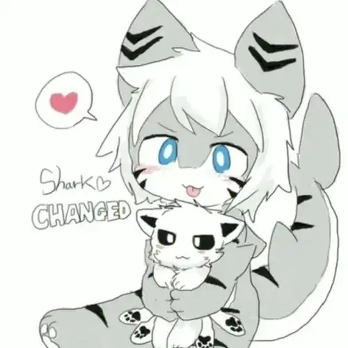 changed喵鲨和乌贼犬的狗粮日常