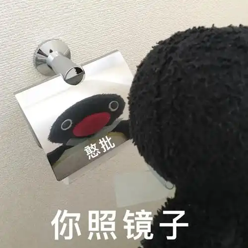 憨批你照镜子小企鹅表情包