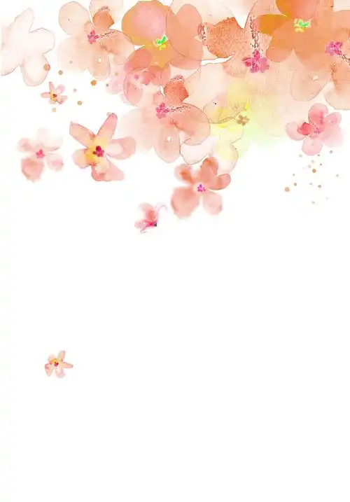 唯美花朵宣传册封面