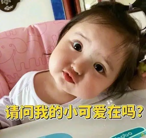 请问我的小可爱在吗?(小刚几表情包 67)