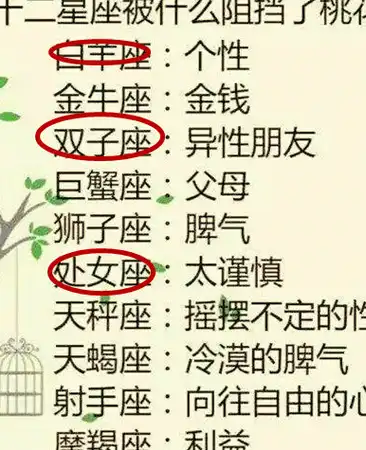 十二星座暗恋者数量排行榜,第一名居然是这个星座_双子座_异性_爱情