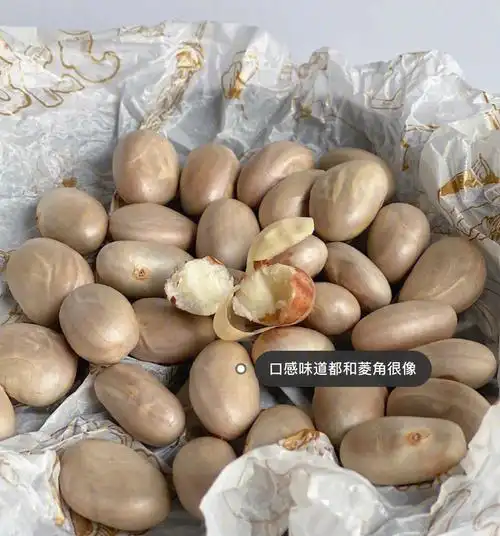 吃完菠萝蜜核千万不要扔呀60一起来打开