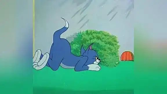 猫和老鼠汤姆用双手走路