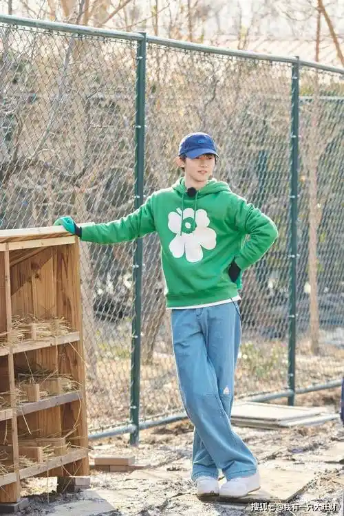 芦花鸡安家落户,马嘉祺走马上任,成了家禽饲养管理员.
