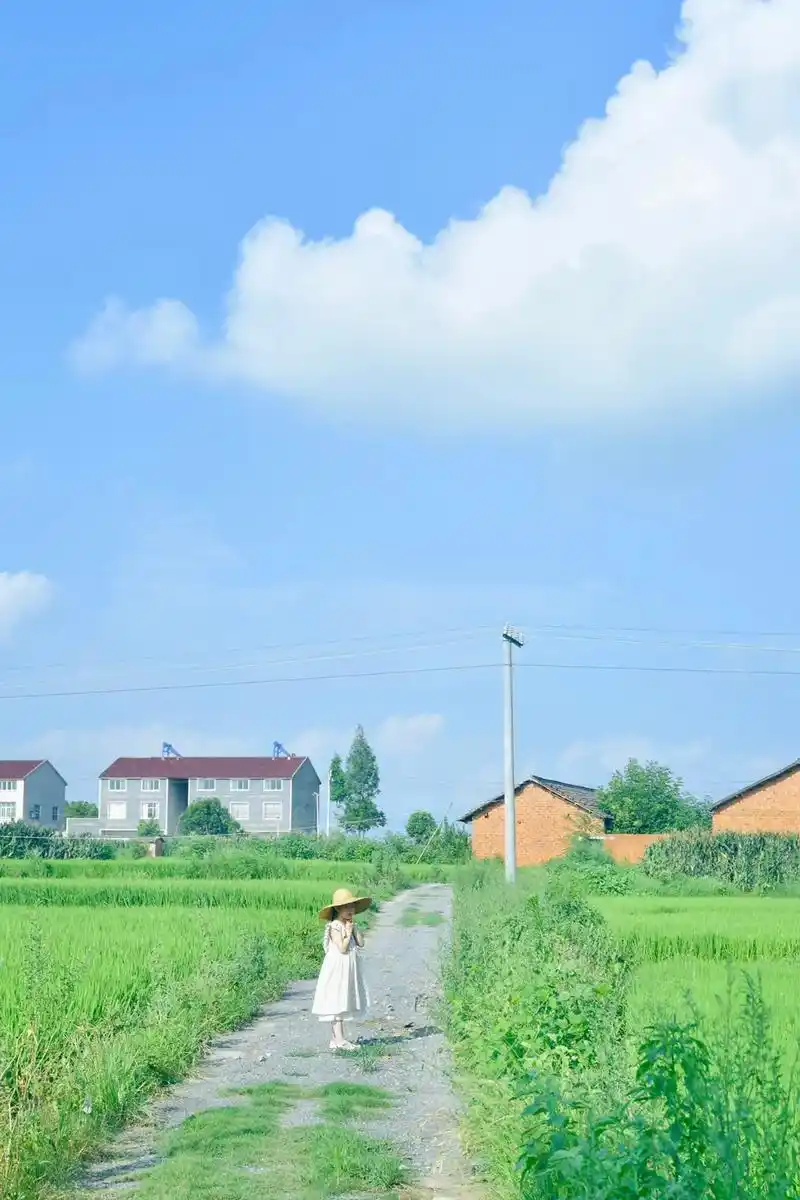 夏日田园风光#乡野田间 #夏日写真#夏天的味道 #夏日小清新 - 抖音