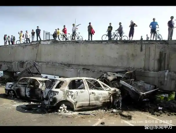 2010 年从智利8.8级大地震,探究应急管理的重要性