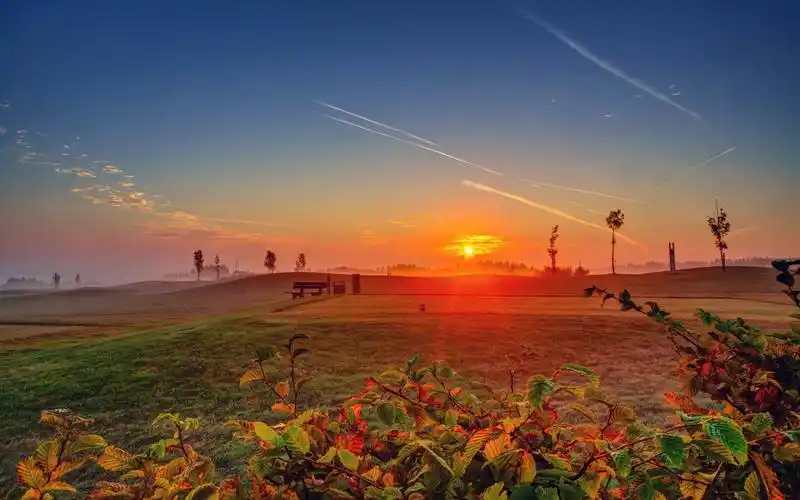 壁纸 农村,田野,树叶,日出,雾,早晨