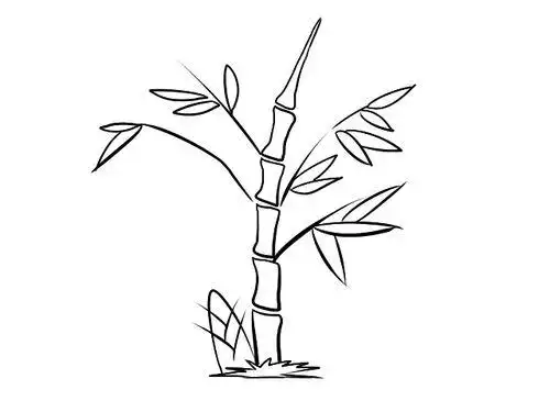 竹简笔画竹简笔画图片大全