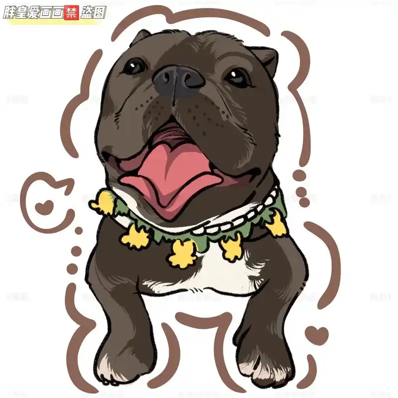 谁家的法斗这么可爱6315.