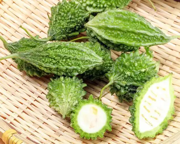 小苦葫芦瓜