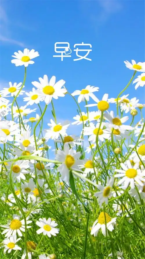早安小清新风景高清手机壁纸大全