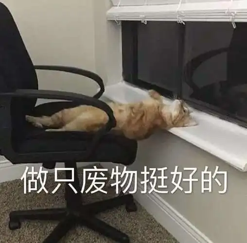 萌宠猫星人做个废物挺好的开心呆萌可爱gif动图_动态图_表情包下载