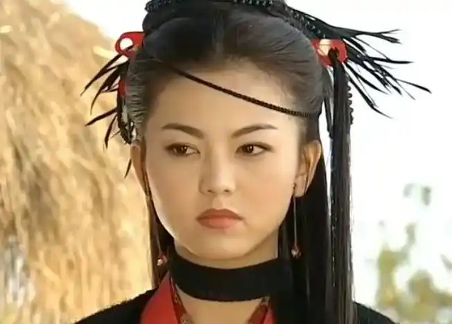 还主演了《快嘴李翠莲》《四台甫捕》《中华英豪》等大热剧,谁人时候