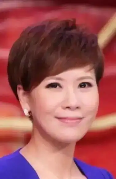 王海燕能够在东方卫视工作多年,这就充分说明个人在能力方面得到了