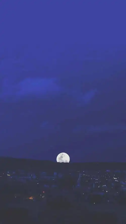 抖音精选壁纸丨全面屏壁纸