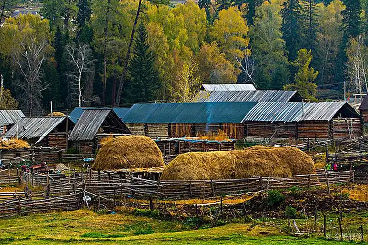 村庄图片_村庄图片素材_村庄图片大全_村庄高清图片_全景视觉