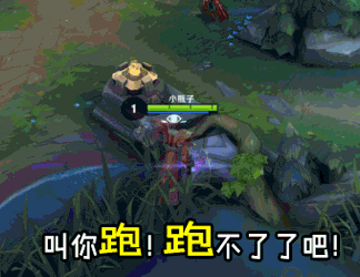 soogifsoogif出品王者荣耀叫你跑跑不了了吧gif动图_动态图_表情包