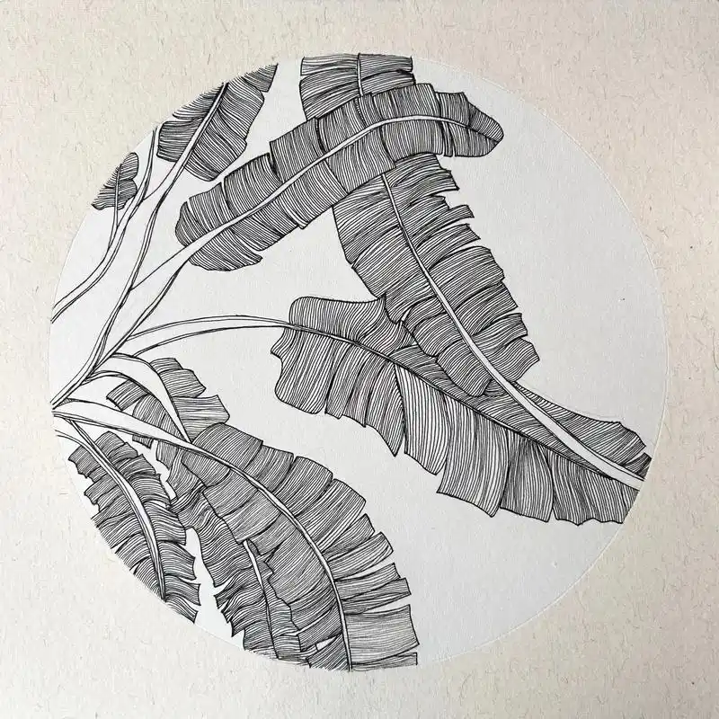 儿童画课件《芭蕉叶》