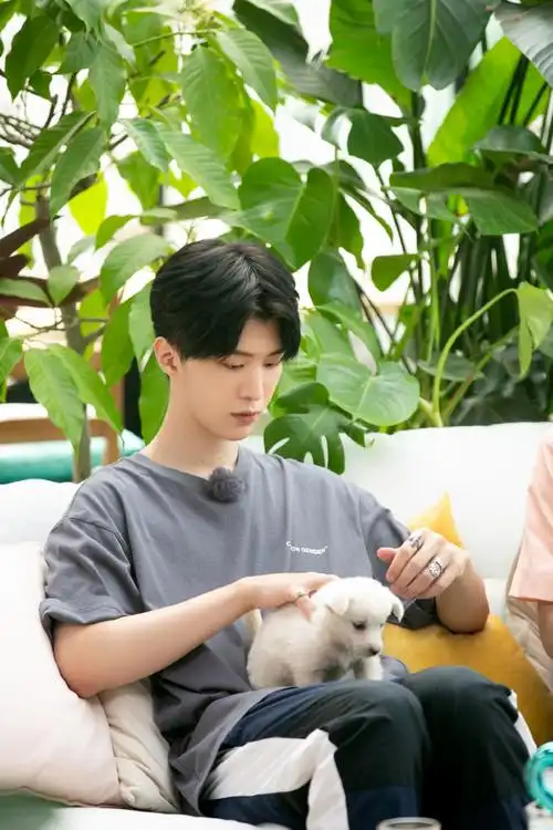 next超话·范丞丞超话·#黄新淳[超话]#户外bbq行动即将开启,烤串美味