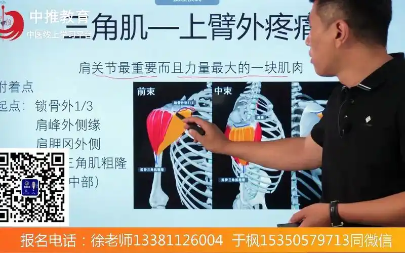 三角肌—上臂外疼痛——李金龙