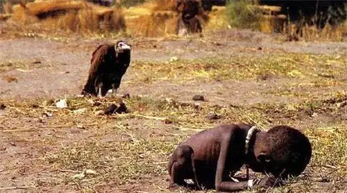 让人流泪的照片:里面饿的只剩皮包骨的小女孩,最后活下来了吗?