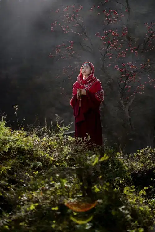 禅意,让灵魂安然