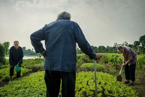 多少年来从未荒废过,老人拄杖指导着俩儿子锄地浇水,背影如山屹立