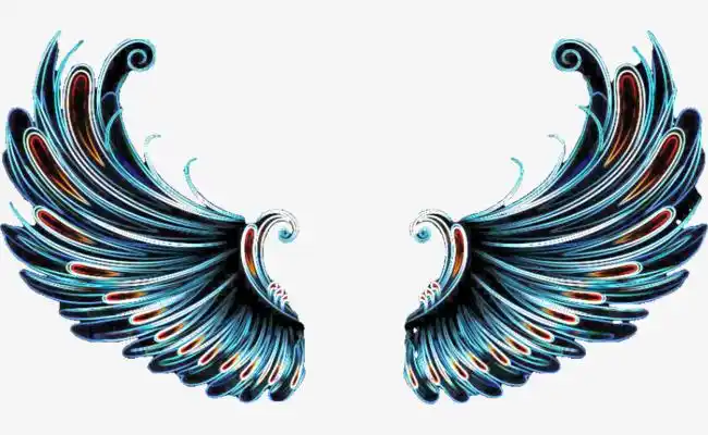 火翅膀蓝色的翅膀