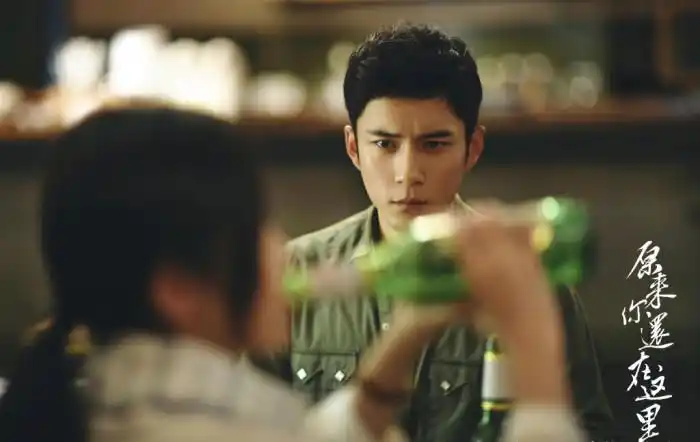 《原来你还在这里》是根据辛夷坞同名小说改编的现代都市电视剧,由