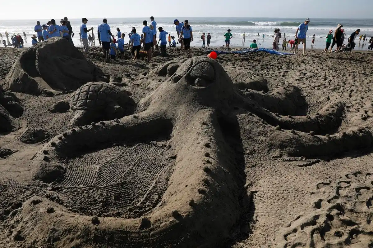 旧金山举行沙雕比赛(1)