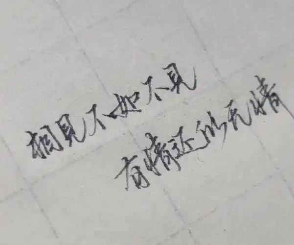 相见不如不见,有情还似无情2.