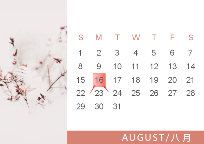 征期日历2021年8月浙江报税日期及截止日期