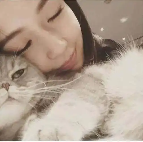 看着miss大小姐一众女神个个成为猫奴,我只想说,放开那只猫,让我来