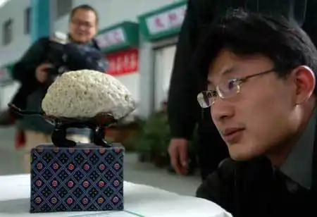 价值380多万绿玛瑙王亮相广州奇石根雕展(组图)