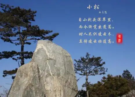 唐·杜荀鹤《小松>2,苔滑非关雨,松鸣不假风.