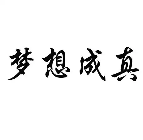 梦想成真